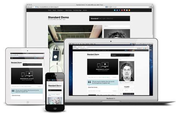 Yoast Seo yapımcılarının Wordpress Teması Adı: Standard Theme